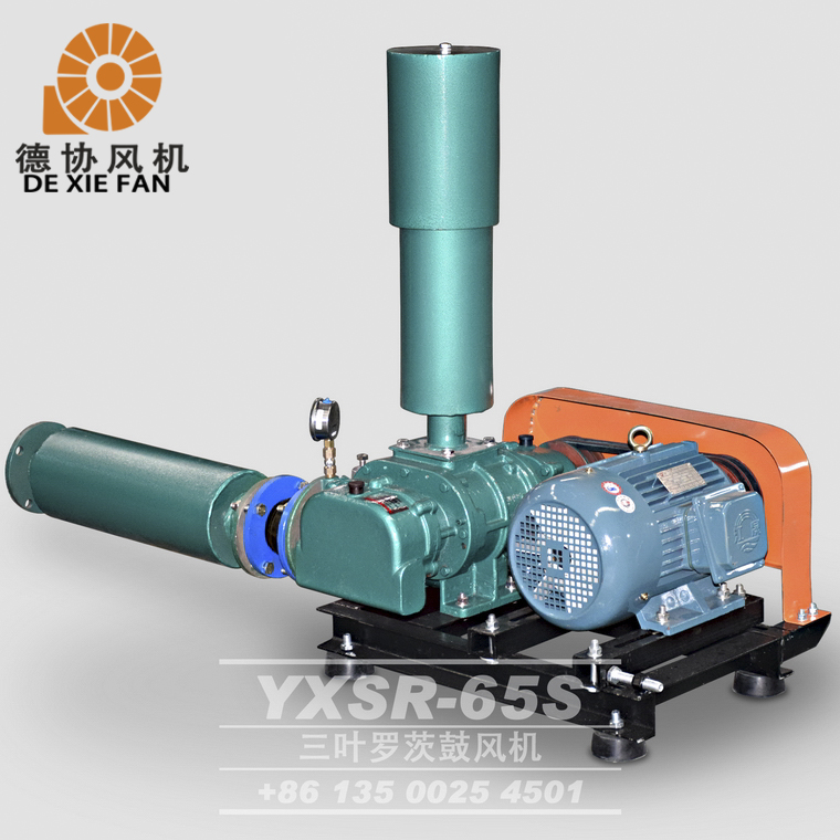 YXSR-65羅茨風機