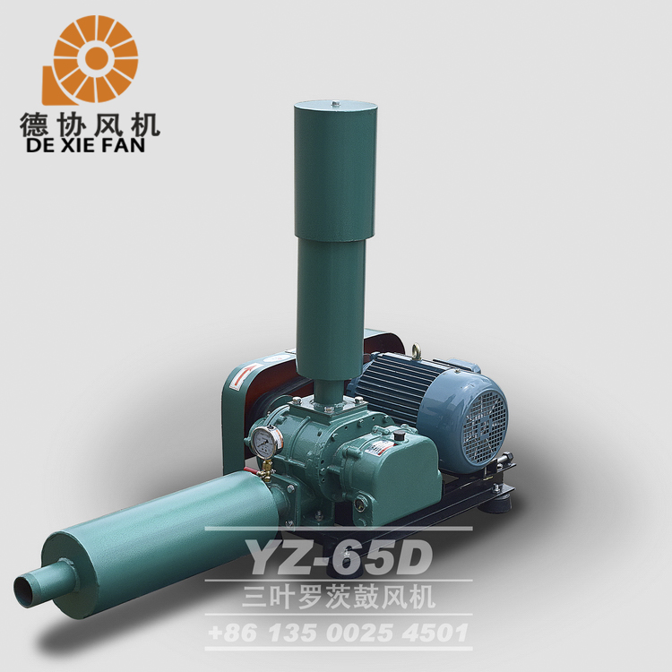 YZ-65水產(chǎn)養(yǎng)殖羅茨風(fēng)機